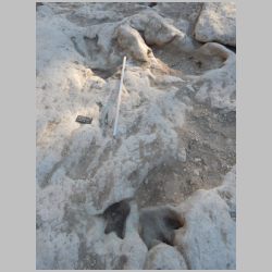 07-DSCN0451 Baby center in context.jpg